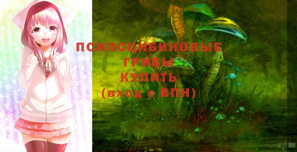 соль курить ск Богородицк